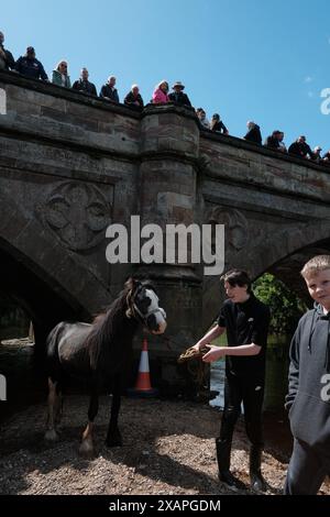 Appleby, Angleterre, Royaume-Uni. 8 juin 2024. La foire équestre Appleby, qui se tient chaque année en Cumbria, attire des milliers de Tsiganes, de voyageurs et d'amateurs de chevaux. Cet événement traditionnel, datant du XVIIIe siècle, est l’un des plus grands rassemblements de ce genre en Europe. Les participants achètent et vendent des chevaux, mettent en valeur leurs compétences et célèbrent leur culture avec une variété d’activités et de festivités. (Crédit image : © Joao Daniel Pereira/ZUMA Press Wire) USAGE ÉDITORIAL SEULEMENT! Non destiné à UN USAGE commercial ! Crédit : ZUMA Press, Inc/Alamy Live News Banque D'Images