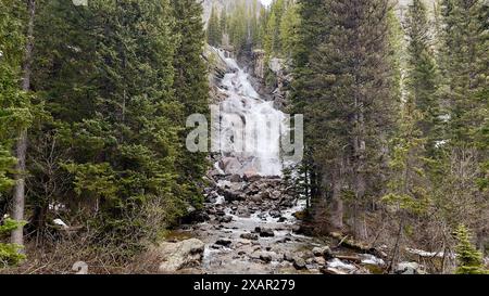 Chutes d'eau cachées pendant la randonnée sur le sentier du lac Jenny à Mt. Parc national de Teton dans le Wyoming, États-Unis Banque D'Images