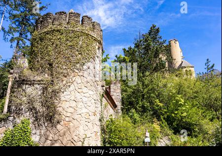 Roseburg Harz BEI Ballenstedt Rieder Banque D'Images