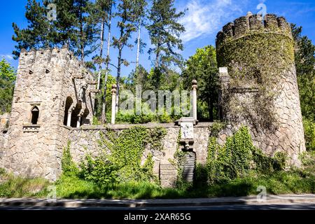 Roseburg Harz BEI Ballenstedt Rieder Banque D'Images