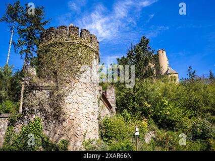 Roseburg Harz BEI Ballenstedt Rieder Banque D'Images