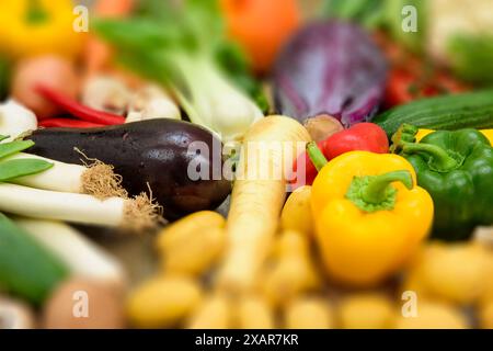 Viel verschiedenes und gesundes Gemüse Viele gesunde und bunt gemischte Gemüsearten liegen zusammen *** beaucoup de légumes différents et sains lots Banque D'Images