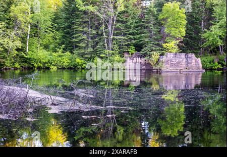 Tête de sentier avec des fondations de vieux ponts abandonnés au-dessus de la rivière York le long du sentier de randonnée dans le parc provincial Egan chutes, Ontario, Canada. Banque D'Images