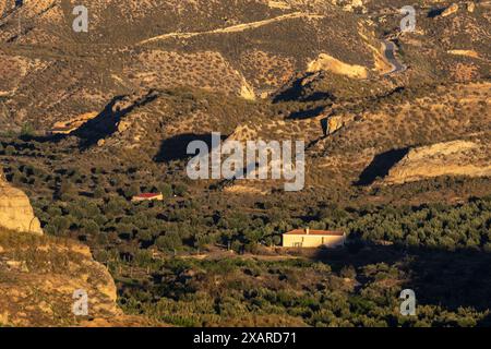 Gorafe, vallée de la rivière Gor, région de Guadix, Géoparc de Grenade, province de Grenade, Andalousie, Espagne. Banque D'Images