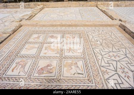 Italica, ancienne ville romaine, 206 av. J.-C., maison des mosaïques de Bacchus et Ariane, Andalousie, Espagne. Banque D'Images