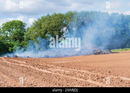 Gros tas de fumier de porc dans un feu contrôlé sur des terres agricoles dans la campagne anglaise Banque D'Images