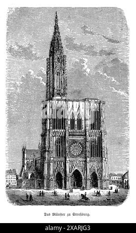 Cette exquise gravure antique en noir et blanc met en valeur la vue de face de la cathédrale de Strasbourg, un chef-d'œuvre de l'architecture gothique. L'illustration détaillée capture la façade complexe, avec ses sculptures ornées, ses flèches imposantes et la célèbre rosace. Cette gravure met non seulement en évidence la grandeur architecturale de la cathédrale, mais témoigne également de la compétence des graveurs historiques qui ont conservé une telle magnificence sur papier. Banque D'Images