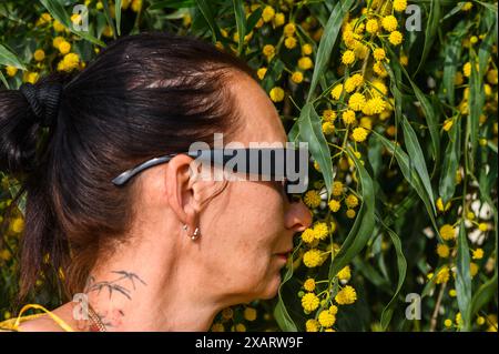 Une femme adulte inhale l'arôme des fleurs de mimosa. À Chypre au printemps 3 Banque D'Images