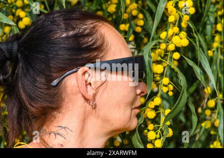 Une femme adulte inhale l'arôme des fleurs de mimosa. À Chypre au printemps Banque D'Images
