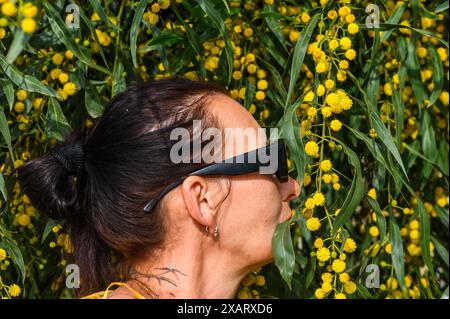 Femme adulte dans le buisson mimosa respire librement pendant la saison d'allergie 3 Banque D'Images
