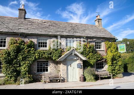 Le pub Scott Arms à Kingston, Wareham, Dorset, Angleterre, Royaume-Uni. Pubs traditionnels anglais de campagne extérieur été ensoleillé virginia Creeper Banque D'Images