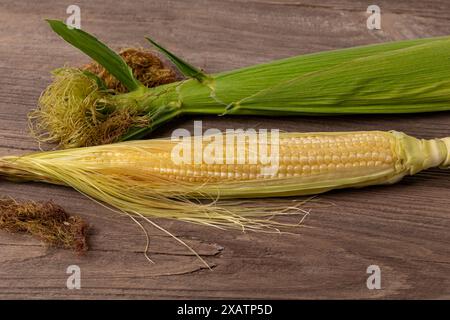 Épi de maïs au stade de croissance des cloques. Remplissage de grain, culture de maïs, concept d'agriculture. Banque D'Images