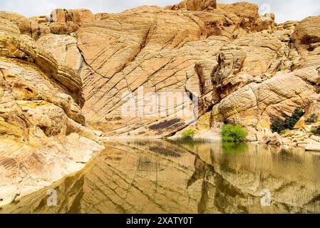 Un trou d'eau sur le Calico Tanks Trail dans la zone de conservation de Red Rock Canyon à Las Vegas Nevada. Banque D'Images