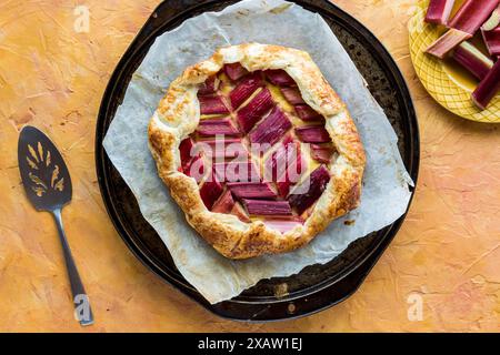 Une galette de crème anglaise à la rhubarbe maison, fraîchement sortie du four. Banque D'Images