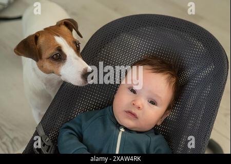 Un chien est assis à côté d'un mignon garçon de trois mois vêtu d'une salopette bleue dans une chaise longue pour bébé. Banque D'Images