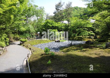 Jardin frais vert et japonais 'mer de souffrance' dans le temple Hogon-in, Kyoto, Japon Banque D'Images
