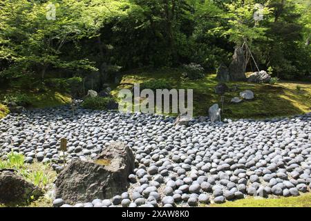 Jardin frais vert et japonais 'mer de souffrance' dans le temple Hogon-in, Kyoto, Japon Banque D'Images