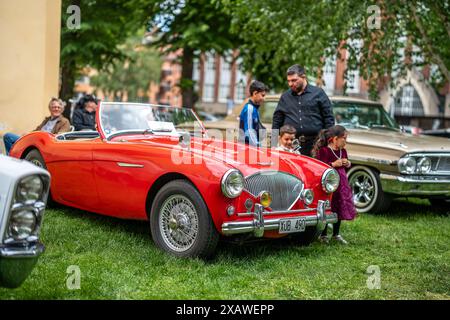 Red Austin Healey 1955 à la célébration de la fête nationale suédoise dans le parc OLAI. Cette journée coïncide avec la journée historique du moteur en Suède Banque D'Images