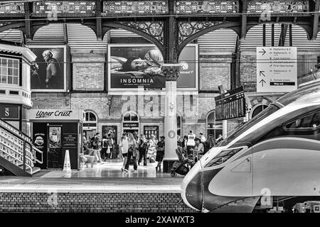 Le hall de la gare est bondé de passagers qui attendent les trains. Les colonnes abritent une verrière en fer historique du XIXe siècle et les boutiques se trouvent sur le pl Banque D'Images