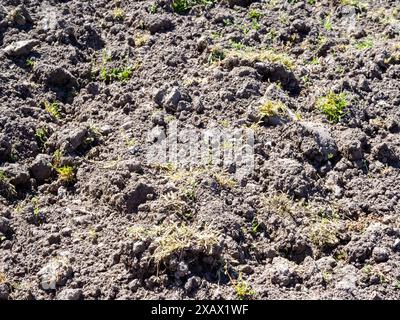 surface de sol sec labouré sur le jardin potager de près le jour ensoleillé de printemps Banque D'Images