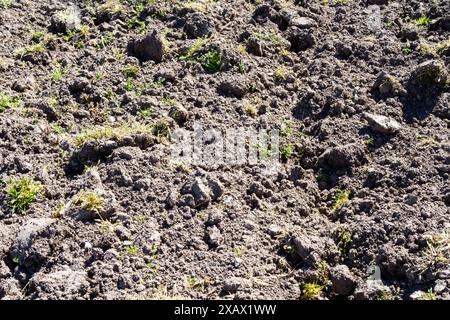 vue au-dessus de la terre labourée séchée sur le jardin potager gros plan le jour ensoleillé de printemps Banque D'Images