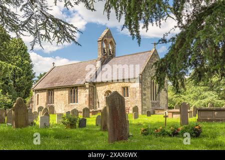 L'église de Saint Everilda à Popleton près de York. Les pierres de tête sont au premier plan et elles sont encadrées par des arbres de conférer. Banque D'Images