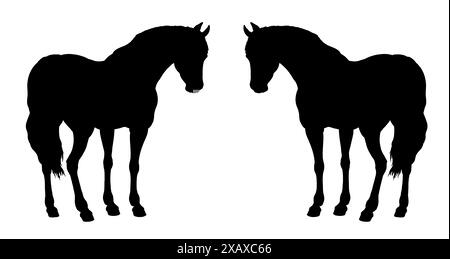 Silhouette noire de beau cheval. Dessin équin. Jeu de chevaux. Banque D'Images
