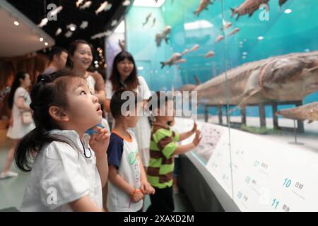 (240609) -- PÉKIN, 9 juin 2024 (Xinhua) -- des enfants visitent le Musée d'histoire naturelle de Chongqing dans la municipalité de Chongqing, dans le sud-ouest de la Chine, le 9 juin 2024. Les gens apprécient les vacances de 3 jours du Dragon Boat Festival, également appelé Festival de Duanwu, qui tombe le 10 juin de cette année, via diverses activités à travers le pays. (Photo de Qin Tingfu/Xinhua) Banque D'Images