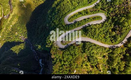 Une vue aérienne d'une route sinueuse serpentant à travers une forêt dense en Norvège. Les courbes des routes et le feuillage vert éclatant créent un visuel époustouflant. Banque D'Images