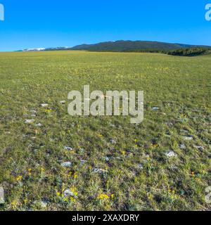 anneau de tipi sur la prairie sous les grandes montagnes enneigées près de judith gap, montana Banque D'Images