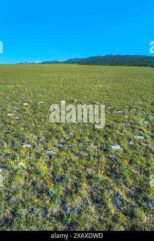 anneau de tipi sur la prairie sous les grandes montagnes enneigées près de judith gap, montana Banque D'Images