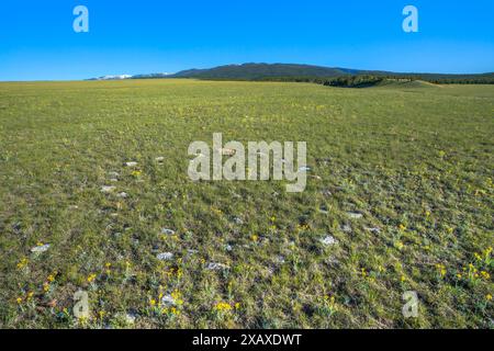 anneau de tipi sur la prairie sous les grandes montagnes enneigées près de judith gap, montana Banque D'Images