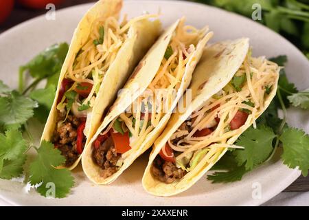 Taco avec boeuf haché et avocat, chou et fromage. Cuisine mexicaine. Banque D'Images