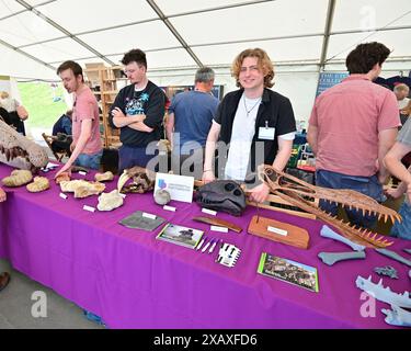 Lyme Regis, Royaume-Uni. 9 juin 2024. Ateliers Palaeoart dans l'Exhibitor Marquee sur le site de Lister Gardens sur le front de mer, Lyme Regis East Devon. Crédit photo : Robert Timoney/Alamy Live Newsletter ateliers Palaeoart dans le Marquee des exposants sur le site de Lister Gardens sur le front de mer, Lyme Regis est Devon. Crédit photo : Robert Timoney/Alamy Live News Banque D'Images