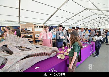 Palaeoart ateliers Fossil Festival Banque D'Images