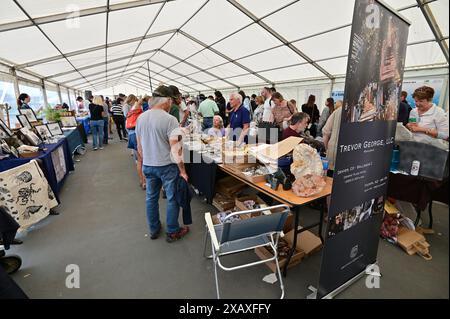 Lyme Regis, Royaume-Uni. 9 juin 2024. Ateliers Palaeoart dans le Marquee des exposants sur le site Lister Gardens en bord de mer, Lyme Regis est Devon. Crédit photo : Robert Timoney/Alamy Live Newsletter ateliers Palaeoart dans le Marquee des exposants sur le site de Lister Gardens sur le front de mer, Lyme Regis est Devon. Crédit photo : Robert Timoney/Alamy Live News Banque D'Images