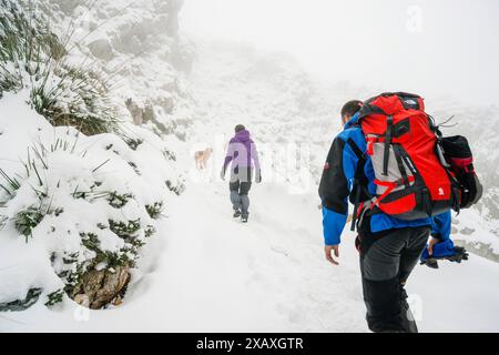 Couple dans la neige avec un chien, ses voltes, Puig D'en Galileu, Escorca, Serra de Tramuntana, Majorque, Îles Baléares, Espagne, Europe Banque D'Images