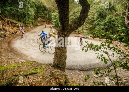 Cyclistes montant le Coll d Honor, route Bunyola-Orient, sierra de Tramuntana, mallorca, baléares, espagne, europe Banque D'Images