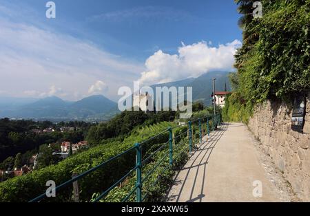 Meran, Südtirol, Italien 07. Juin 2024 : hier die Kurstadt Meran, Merano, Meraner Land, Burggrafenamt, der Blick vom Tappeinerweg auf den Pulverturm, Ortenstein, Ausblick, wandern, spazieren, Tourismus, Hotspot, Urlaubsdomizil *** Merano, Tyrol du Sud, Italie 07 juin 2024 ici la ville thermale de Merano, Merano, Meraner Land, Burggrafenamt, la vue du Tappeinerweg à la Tour de la poudre, Ortenstein, vue, randonnée, marche, tourisme, hotspot, destination de vacances Banque D'Images