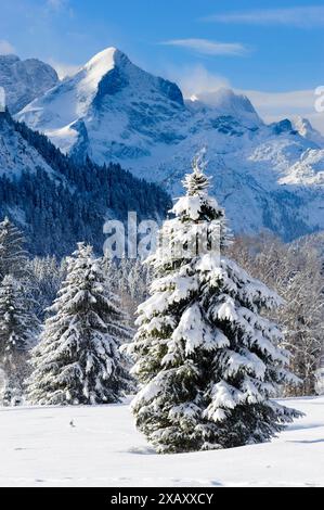 Winterlandschaft in Bayern Tief verschneite Almwiesen in der Nähe von Garmisch-Partenkirchen mit Blick auf das Wettersteingebirge Klais Bayern Deutsch Banque D'Images