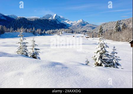 Winterlandschaft in Bayern Tief verschneite Almwiesen in der Nähe von Garmisch-Partenkirchen mit Blick auf das Wettersteingebirge Klais Bayern Deutsch Banque D'Images