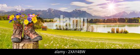 Wanderstiefel mit Blumen Ein Paar Wanderstiefel gefüllt mit einem Strauß Frühlingsblumen, steht auf einer Blumenwiese vor dem Bergpanorama im Allgäu - Banque D'Images