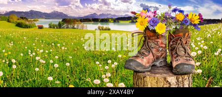 Wanderstiefel mit Blumen Ein Paar Wanderstiefel gefüllt mit einem Strauß Frühlingsblumen, steht auf einer Blumenwiese vor dem Bergpanorama im Allgäu - Banque D'Images