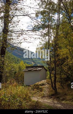 Une petite cabane se dresse dans la forêt, entourée d'arbres d'automne et d'un chemin étroit, Saas Fee, Suisse Banque D'Images