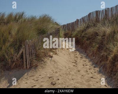 Chemin de sable entouré de dunes et d'herbe, menant entre des clôtures en bois avec un ciel bleu clair, de haan, belgique Banque D'Images