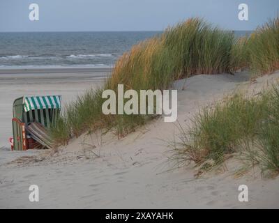 Une chaise de plage protégée contre le vent se tient entre les dunes et les herbes sur la plage avec une vue sur la mer et le ciel nuageux, juist, frise orientale, Allemagne Banque D'Images