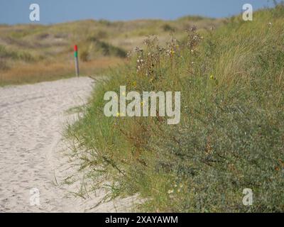 Un chemin à travers des dunes de sable, avec de la végétation et un marqueur, juist, frise orientale, allemagne Banque D'Images