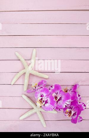 Grandes orchidées roses avec étoile de mer blanche sur des planches de bois rose. Fond pour spa, tourisme, ésotique, cosmétique. Copier l'espace Banque D'Images