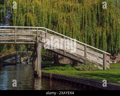 Simple pont en bois sur un canal tranquille avec un saule suspendu, giethoorn, pays-Bas Banque D'Images