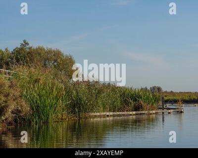 Eau calme avec une végétation dense de roseaux sur le rivage sous un ciel bleu clair, giethoorn, pays-Bas Banque D'Images